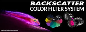 Backscatter Color Filter System—Expanding Your Creativity Underwater