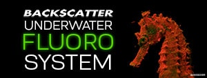 The Backscatter Underwater Fluorescence Strobe & Lighting System