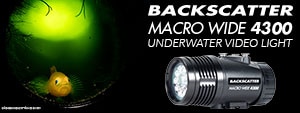 Best Underwater Video Light - The Backscatter Macro Wide 4300 Has You Covered