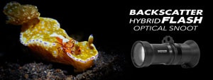 Backscatter Hybrid Flash Underwater Optical Snoot Review