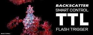 Backscatter Smart Control Optical TTL Flash Trigger Review & Setup Guide