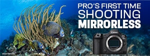 Pro Photographer's First Dives with a Mirrorless Camera