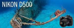 Nikon D500 Underwater Camera Review