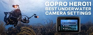 Complete Guide for GoPro HERO 11 Best Underwater Video & Photo Settings