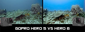 GoPro Hero 6 vs. Hero 5 Underwater Camera Review 