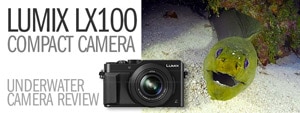 Panasonic Lumix LX100 Underwater Camera Review