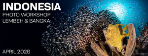 Lembeh Resort & Coral Eye Marine Outpost – North Sulawesi Indonesia - April 13-27, 2026