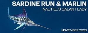 Sardine Run & Striped Marlin - Magdalena Bay, Baja, Mexico - November 23-30, 2023 