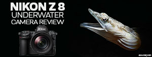 Nikon Z 8 Underwater Camera Review