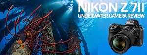 Nikon Z7 II Underwater Camera Review