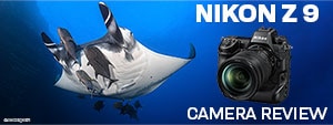 Nikon Z9 Underwater Camera Review