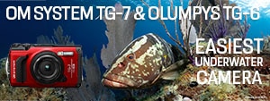 OM System TG-7 & Olympus TG-6 Review: The Easiest Underwater Compact Camera