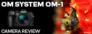 OM System OM-1 Underwater Camera Review