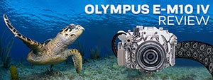 Olympus OM-D E-M10 IV Underwater Camera & Housing Review