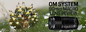 OM System 90mm Macro Lens Underwater Review