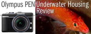 Olympus PEN E-PL1 & PT-EP01 Underwater Housing Review