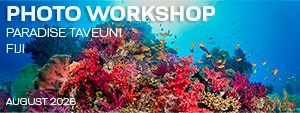 Underwater Photography Workshop - Paradise Taveuni - Fiji - August 4-15, 2026