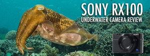 Sony RX100 Underwater Camera Review