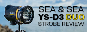 Sea & Sea YS-D3 Duo Underwater Strobe Review