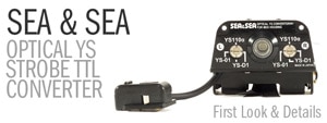 Sea & Sea Optical YS TTL Converter First Look and Details