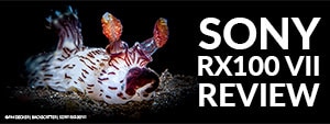 Sony RX100 VII Underwater Camera Review