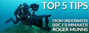 Top 5 Tips From a BBC Underwater Filmmaker