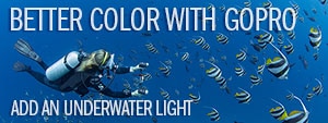 Want color? Add an underwater light to your GoPro!