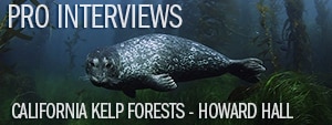 California Kelp Forests with Howard Hall