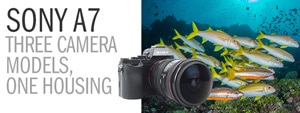 Sony A7 Underwater Camera Review - Three Camera Models, One Housing