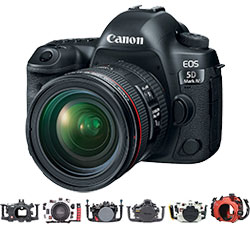 Canon 5D IV