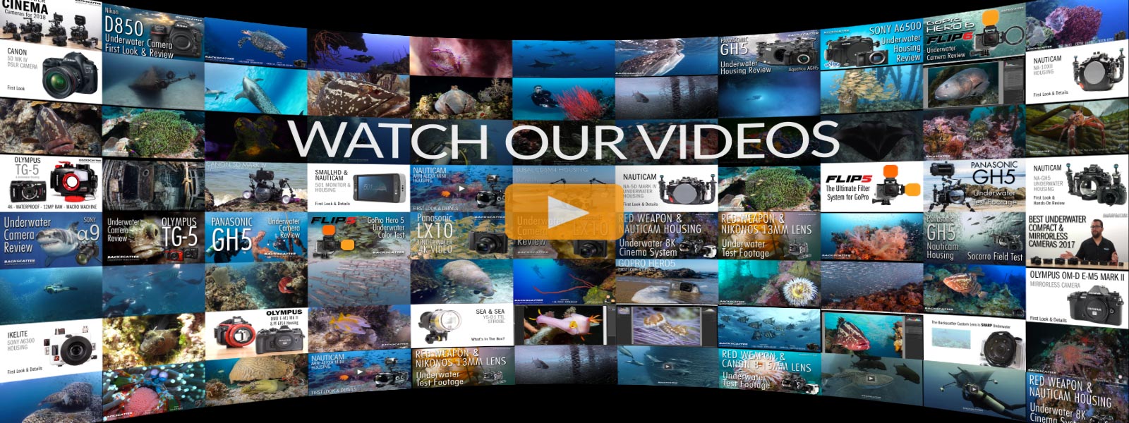 Backscatter Underwater Photography Video Backscatter