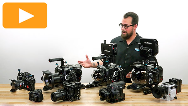 Watch Our Cinema 4K Camera Videos