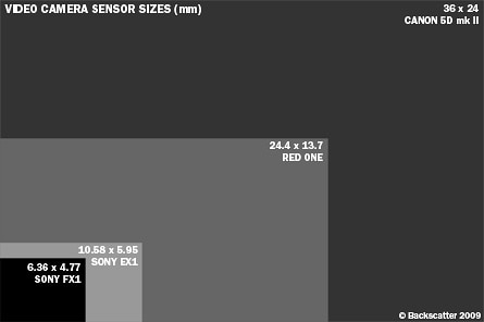 Video Sensor Size Chart